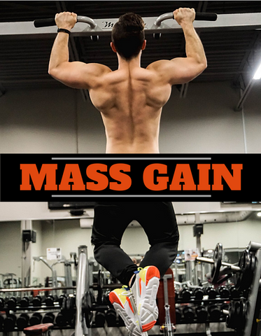 MASS GAIN 1.0