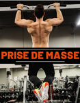 Prise de masse 1.0 (ESSAI GRATUIT)